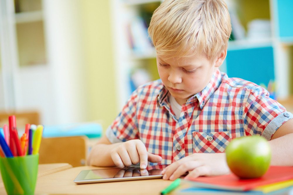 How Does Private Schooling Impact Learning Quality?