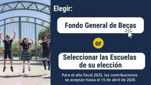 Cómo funcionan los créditos fiscales individuales – Español