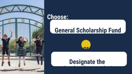 How AZ Individual Tax Credits Works Tax Year 2025