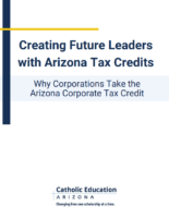 Why Corporations Take the 2025
